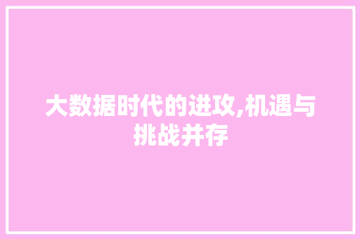 大数据时代的进攻,机遇与挑战并存