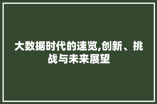 大数据时代的速览,创新、挑战与未来展望