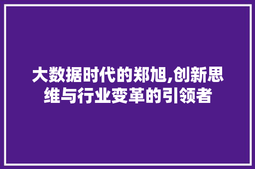 大数据时代的郑旭,创新思维与行业变革的引领者