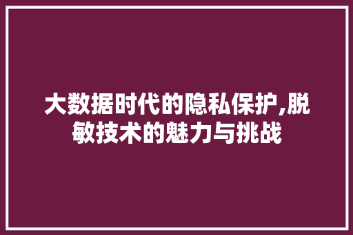 大数据时代的隐私保护,脱敏技术的魅力与挑战 GoogleSEO