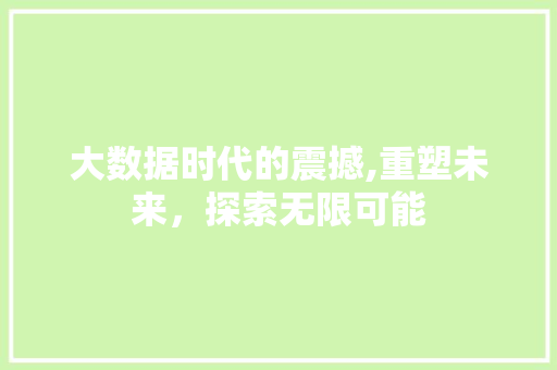 大数据时代的震撼,重塑未来，探索无限可能 百度SEO