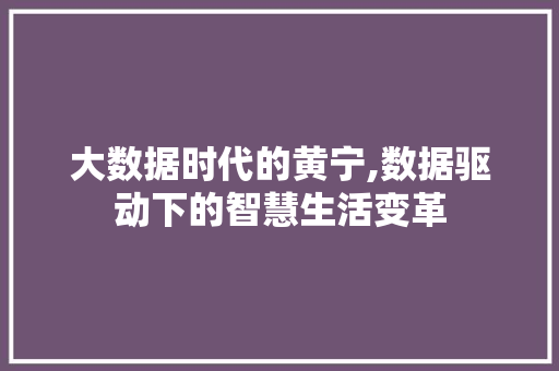 大数据时代的黄宁,数据驱动下的智慧生活变革