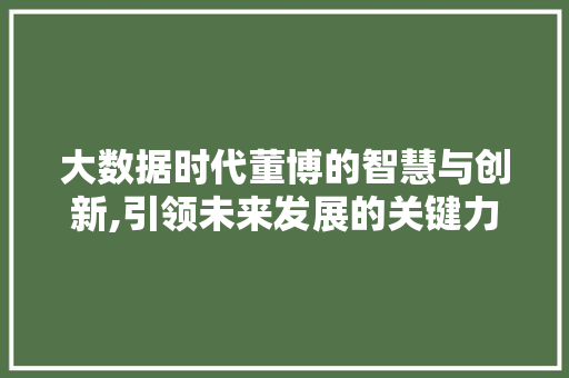 大数据时代董博的智慧与创新,引领未来发展的关键力量