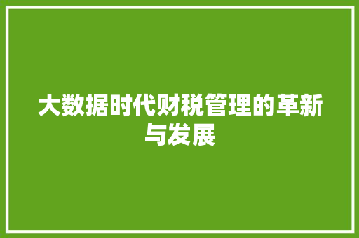 大数据时代财税管理的革新与发展
