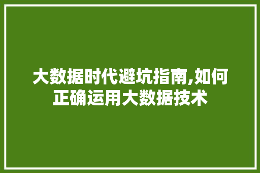 大数据时代避坑指南,如何正确运用大数据技术