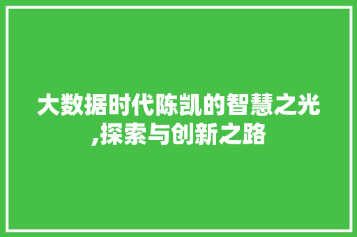 大数据时代陈凯的智慧之光,探索与创新之路