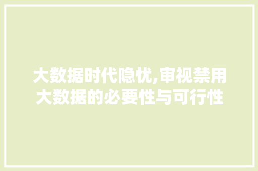 大数据时代隐忧,审视禁用大数据的必要性与可行性