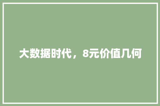 大数据时代，8元价值几何