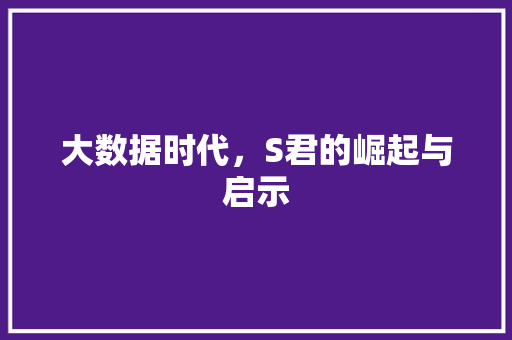 大数据时代，S君的崛起与启示