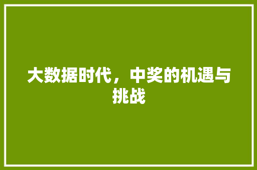大数据时代，中奖的机遇与挑战 神马SEO