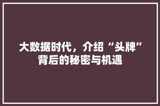 大数据时代，介绍“头牌”背后的秘密与机遇