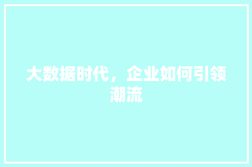 大数据时代，企业如何引领潮流