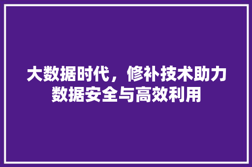 大数据时代，修补技术助力数据安全与高效利用 神马SEO