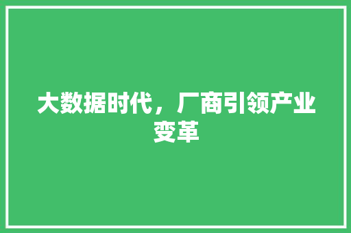 大数据时代，厂商引领产业变革