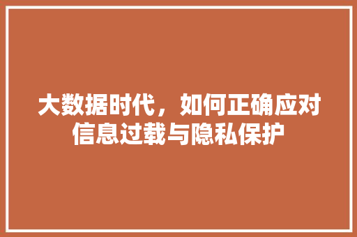 大数据时代，如何正确应对信息过载与隐私保护