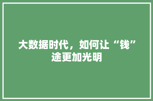大数据时代，如何让“钱”途更加光明