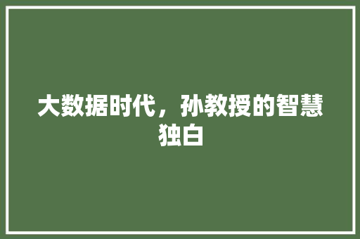 大数据时代，孙教授的智慧独白 百度SEO