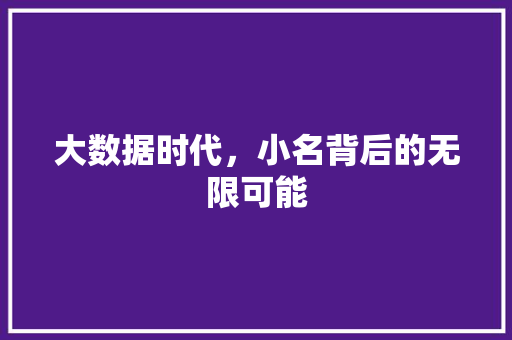 大数据时代，小名背后的无限可能