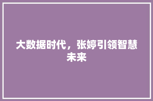 大数据时代，张婷引领智慧未来 神马SEO