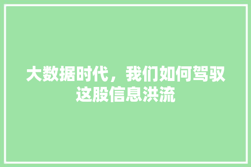 大数据时代，我们如何驾驭这股信息洪流