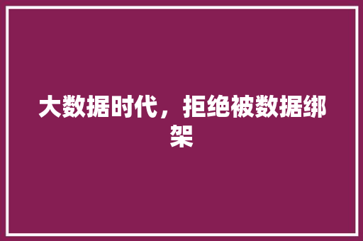 大数据时代，拒绝被数据绑架