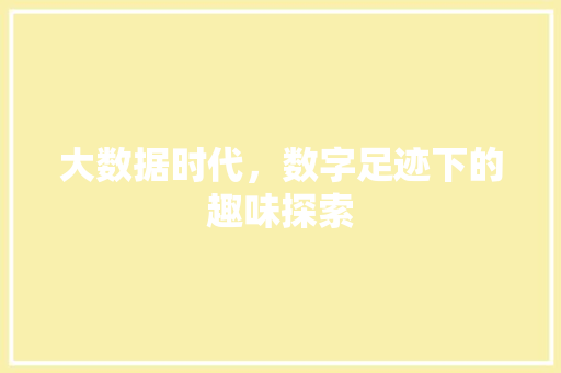 大数据时代，数字足迹下的趣味探索