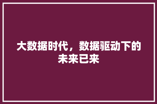 大数据时代，数据驱动下的未来已来