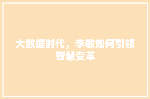 大数据时代，李敏如何引领智慧变革