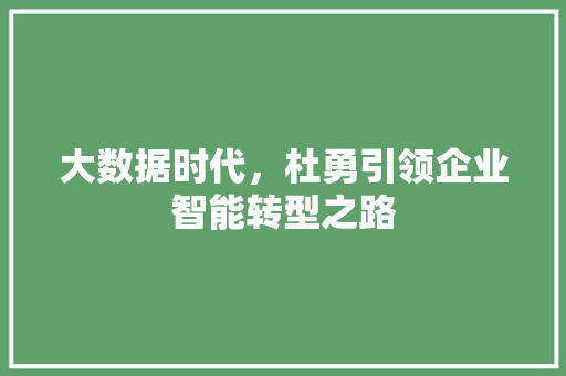 大数据时代，杜勇引领企业智能转型之路
