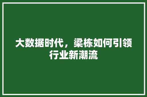 大数据时代，梁栋如何引领行业新潮流