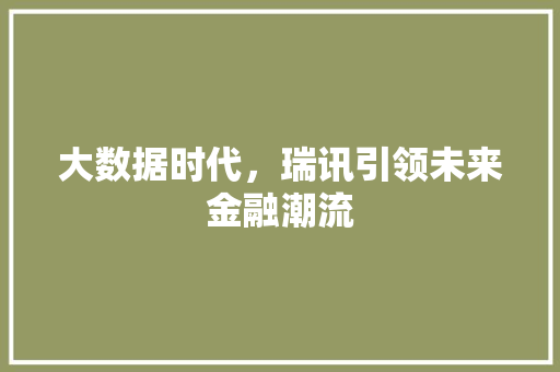 大数据时代，瑞讯引领未来金融潮流 GoogleSEO