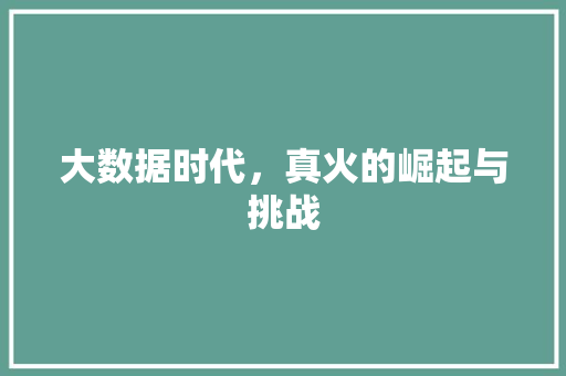 大数据时代，真火的崛起与挑战 GoogleSEO