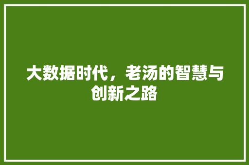 大数据时代，老汤的智慧与创新之路