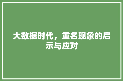 大数据时代，重名现象的启示与应对 GoogleSEO