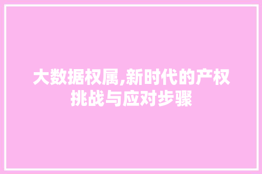 大数据权属,新时代的产权挑战与应对步骤