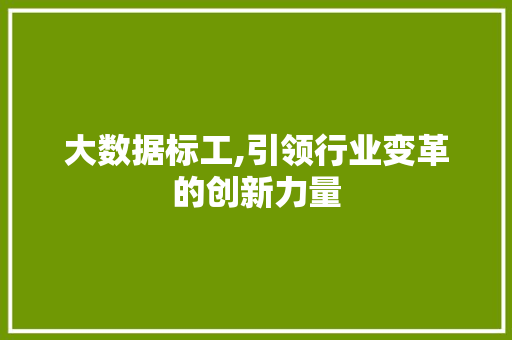 大数据标工,引领行业变革的创新力量 搜狗SEO
