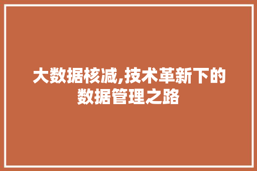 大数据核减,技术革新下的数据管理之路 神马SEO