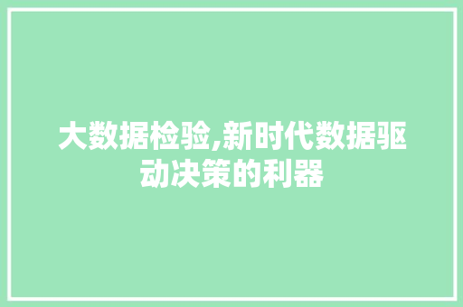 大数据检验,新时代数据驱动决策的利器