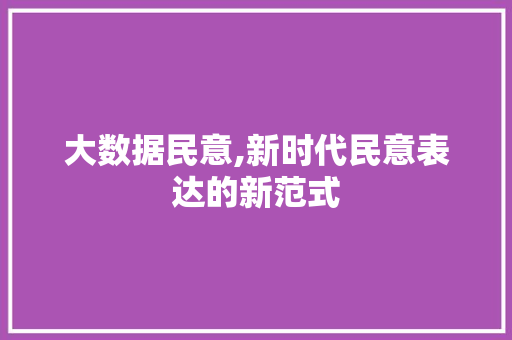大数据民意,新时代民意表达的新范式