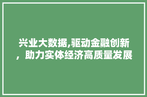 兴业大数据,驱动金融创新，助力实体经济高质量发展 GoogleSEO
