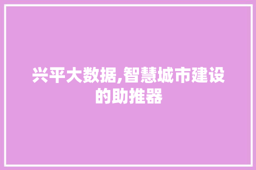 兴平大数据,智慧城市建设的助推器 GoogleSEO
