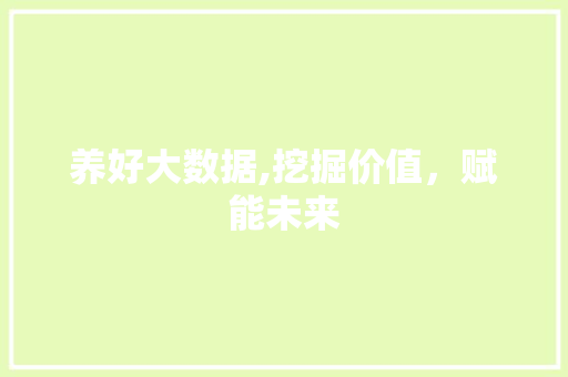 养好大数据,挖掘价值，赋能未来