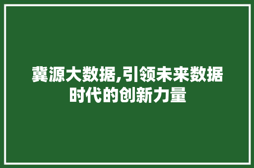 冀源大数据,引领未来数据时代的创新力量 必应SEO