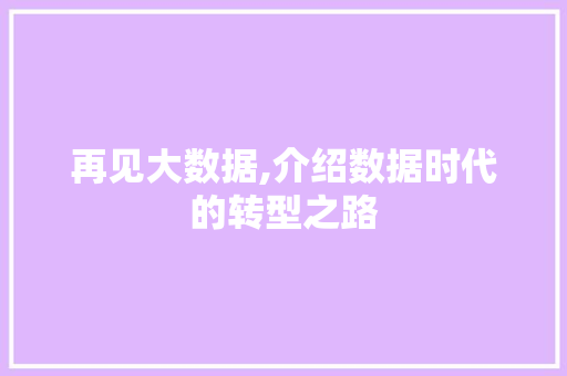 再见大数据,介绍数据时代的转型之路 百度SEO
