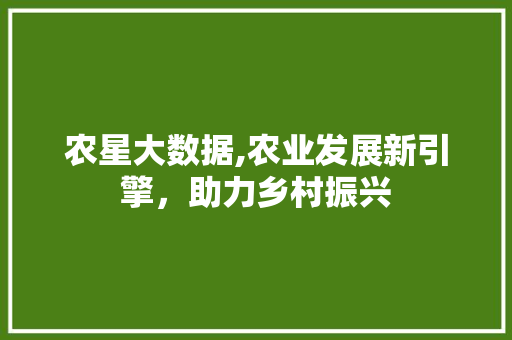 农星大数据,农业发展新引擎，助力乡村振兴 神马SEO