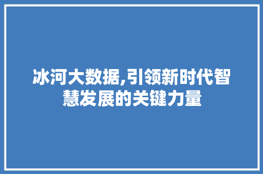 冰河大数据,引领新时代智慧发展的关键力量 百度SEO