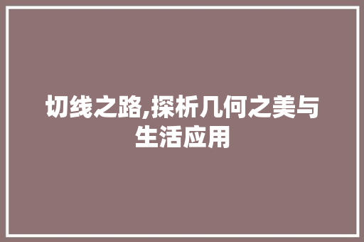 切线之路,探析几何之美与生活应用