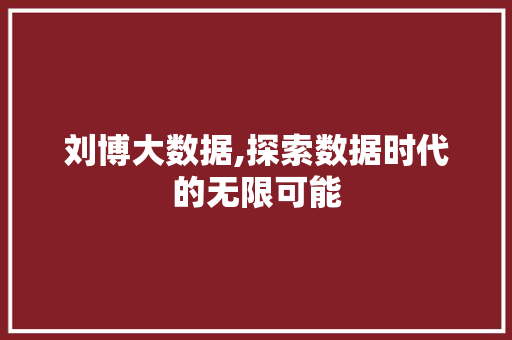 刘博大数据,探索数据时代的无限可能 搜狗SEO