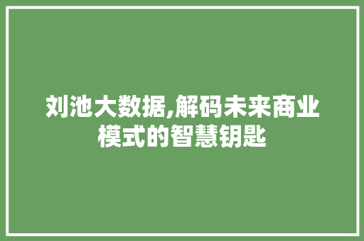 刘池大数据,解码未来商业模式的智慧钥匙 必应SEO