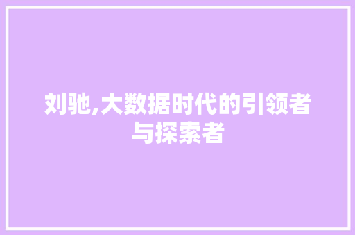 刘驰,大数据时代的引领者与探索者 搜狗SEO